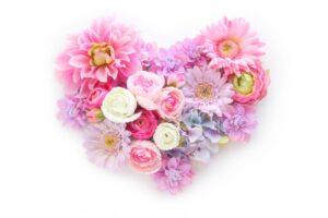 １周年記念キャンペーン‼