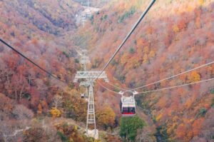 たくさん話せるデートをしよう