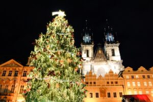 真剣交際への道のり