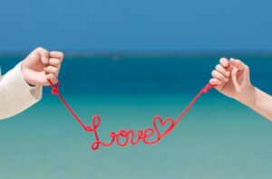 バレーボールといっしょ