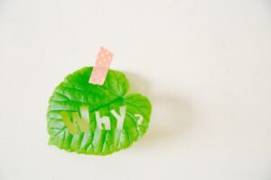 お断りされた人からお申し込みが来る？