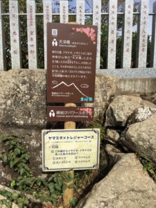 縁結びの神様っている⁈