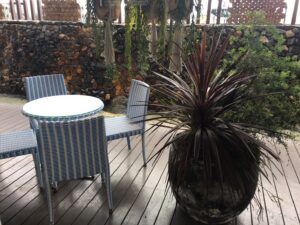 婚活を有利に進める方法を知ってますか？